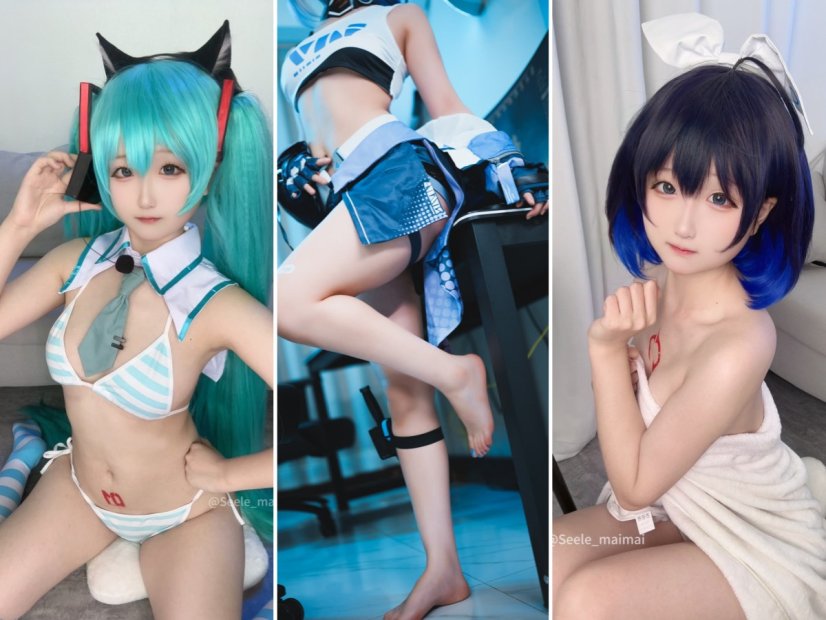 Seele麦麦 – 全套26期&随包视频[9.6G-2026.2]